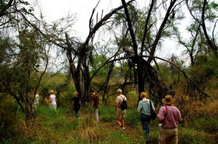 802 Namibia Okt 2006 .JPG